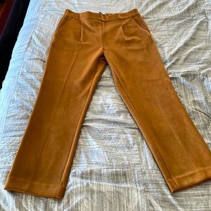 Ann Taylor Tan Cropped Pants